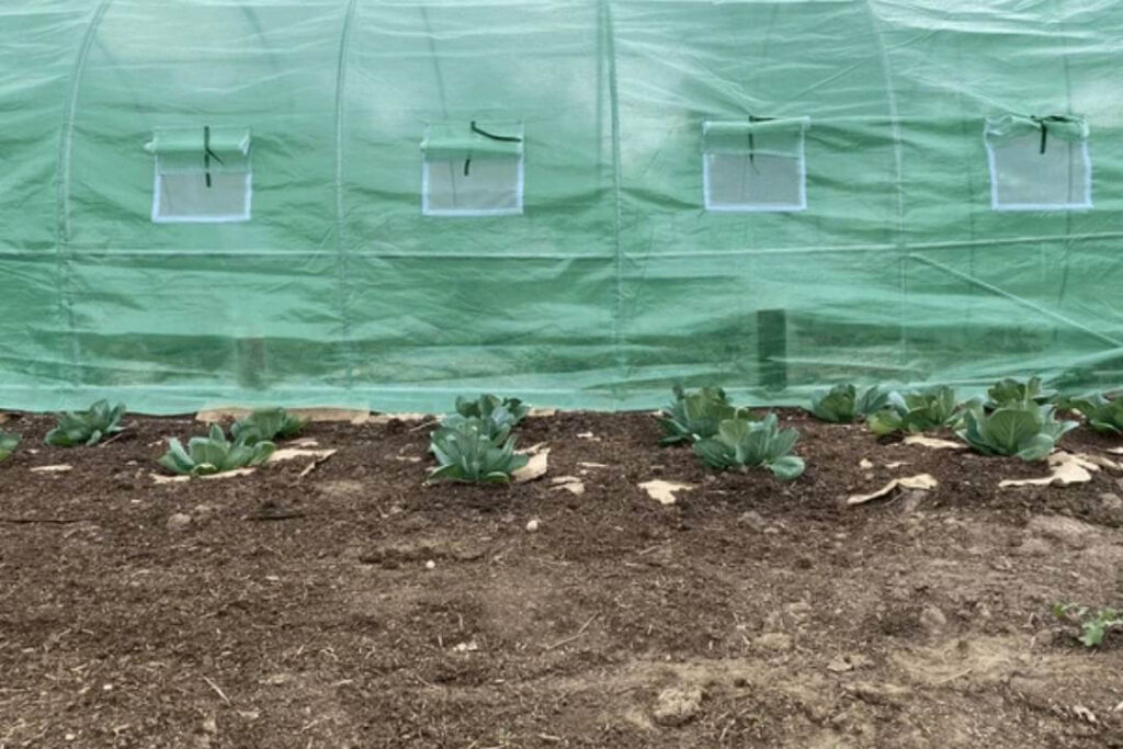 agriculture tarp