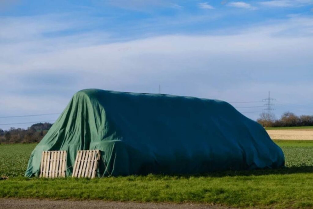 Agriculture tarps are used to protect crops, ensuring optimal plant growth.