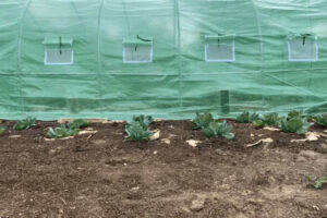 agriculture tarp